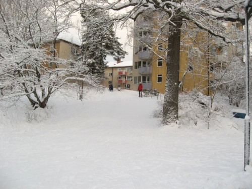 Trågets pulkabacke