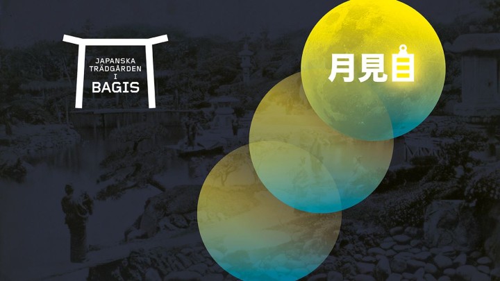 lyktfest